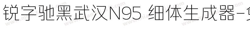 锐字驰黑武汉N95 细体生成器字体转换